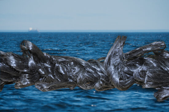 mussel rope