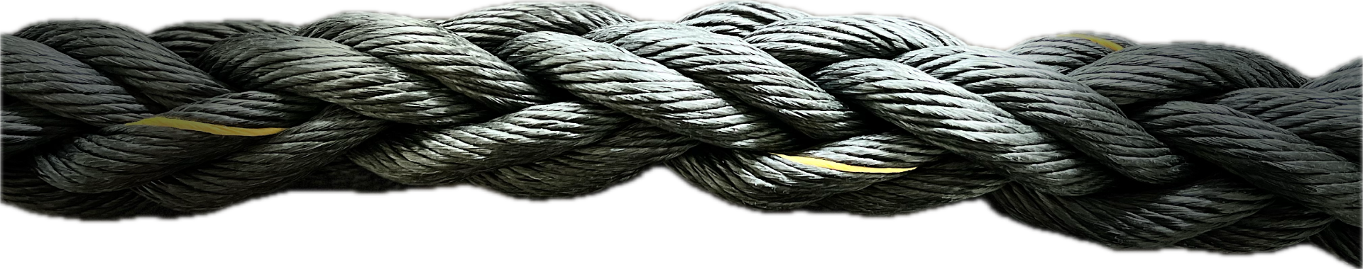 Renew Rope