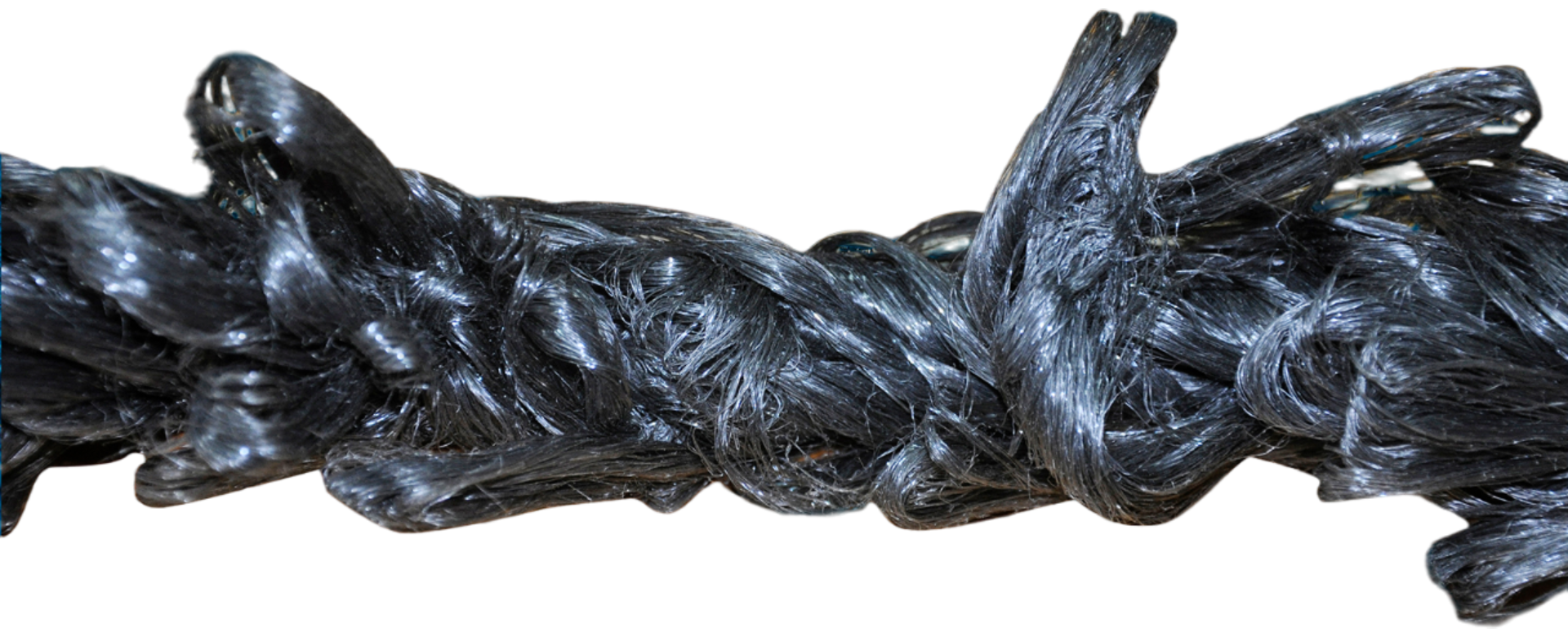 Mussel rope
