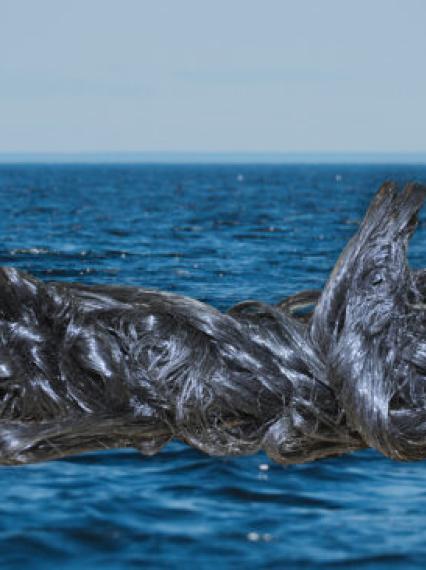 mussel rope