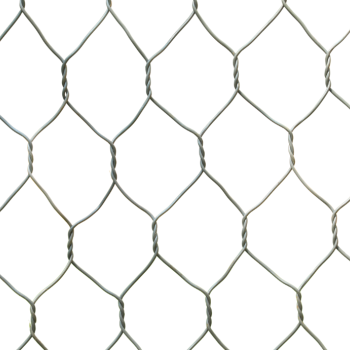 RocGuard® GSWR along with Hexagonal Double Twisted Wire mesh